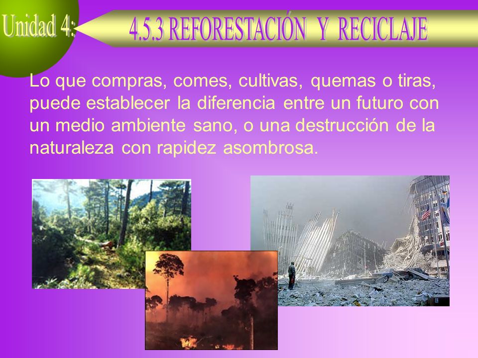 Lo que compras, comes, cultivas, quemas o tiras, puede establecer la diferencia entre un futuro con un medio ambiente sano, o una destrucción de la naturaleza con rapidez asombrosa.