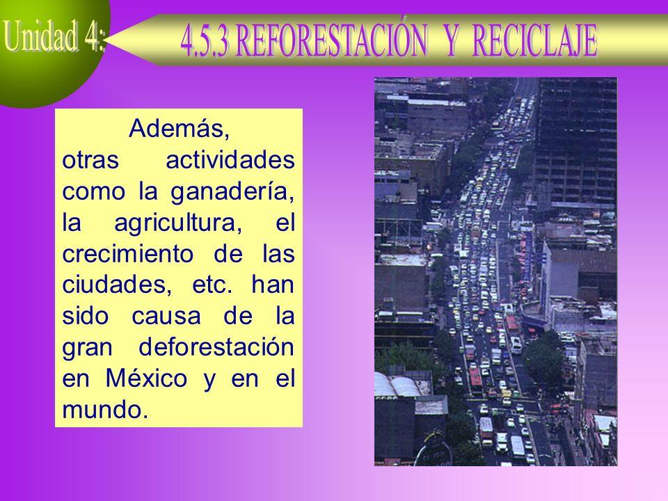 Además, otras actividades como la ganadería, la agricultura, el crecimiento de las ciudades, etc.