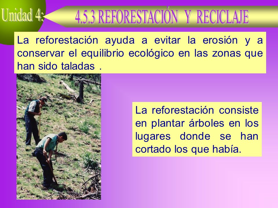 La reforestación ayuda a evitar la erosión y a conservar el equilibrio ecológico en las zonas que han sido taladas .
