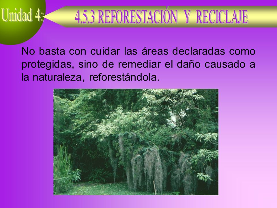 No basta con cuidar las áreas declaradas como protegidas, sino de remediar el daño causado a la naturaleza, reforestándola.