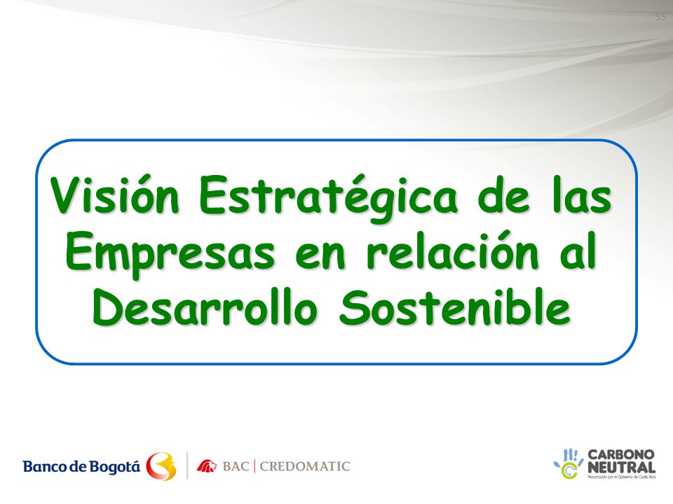 Visión Estratégica de las Empresas en relación al Desarrollo Sostenible