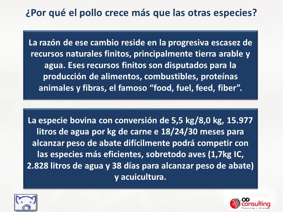 ¿Por qué el pollo crece más que las otras especies