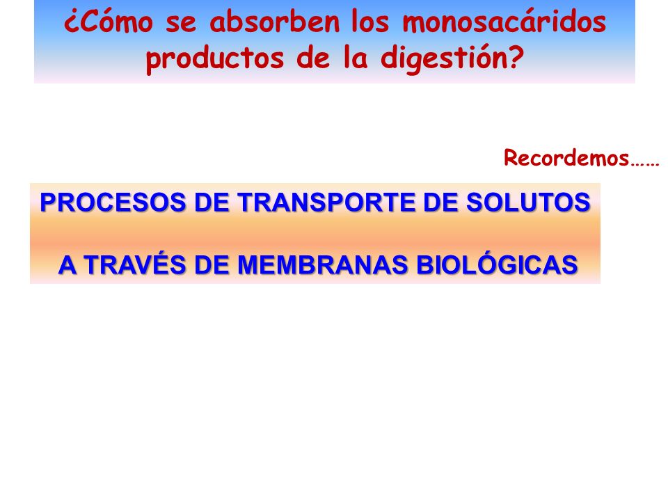 ¿Cómo se absorben los monosacáridos productos de la digestión