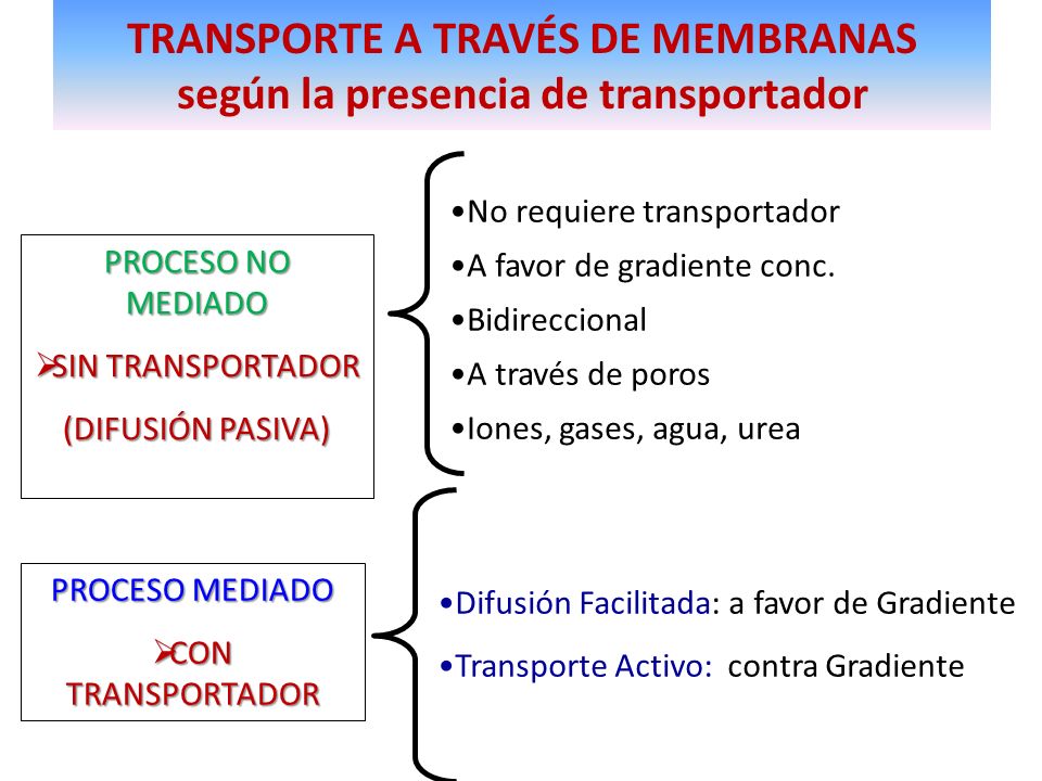 TRANSPORTE A TRAVÉS DE MEMBRANAS según la presencia de transportador