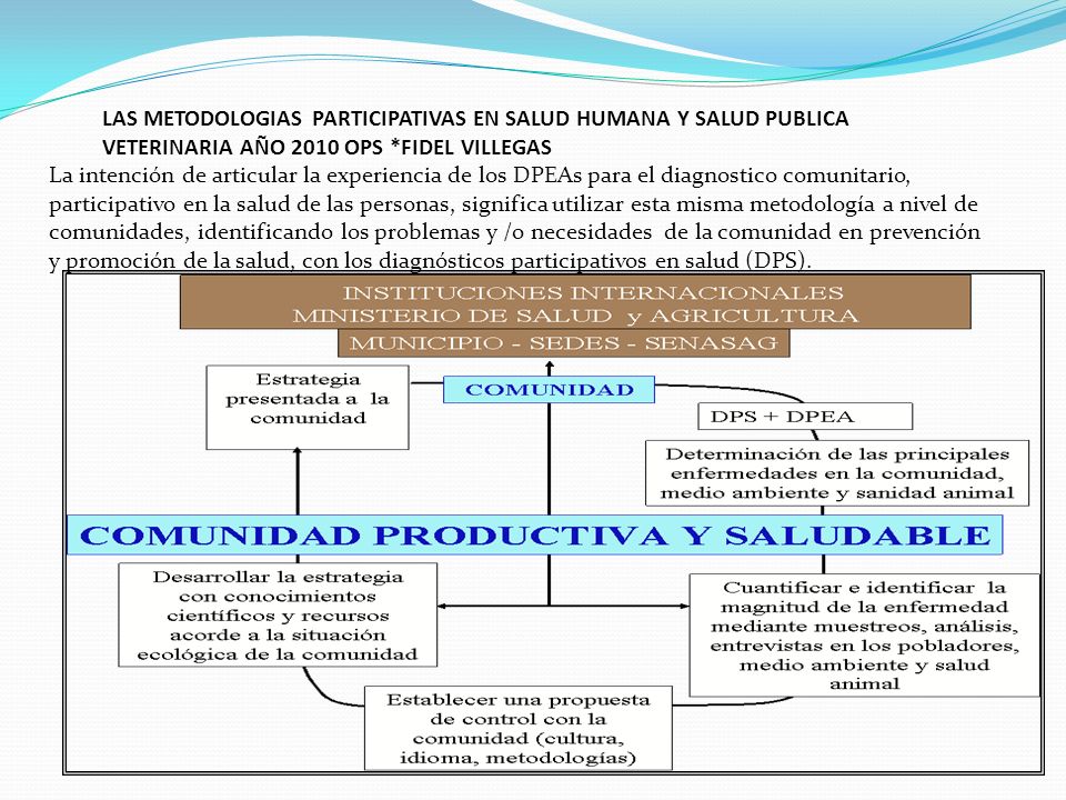 LAS METODOLOGIAS PARTICIPATIVAS EN SALUD Humana y SALUD PUBLICA veterinaria año 2010 OPS *Fidel Villegas
