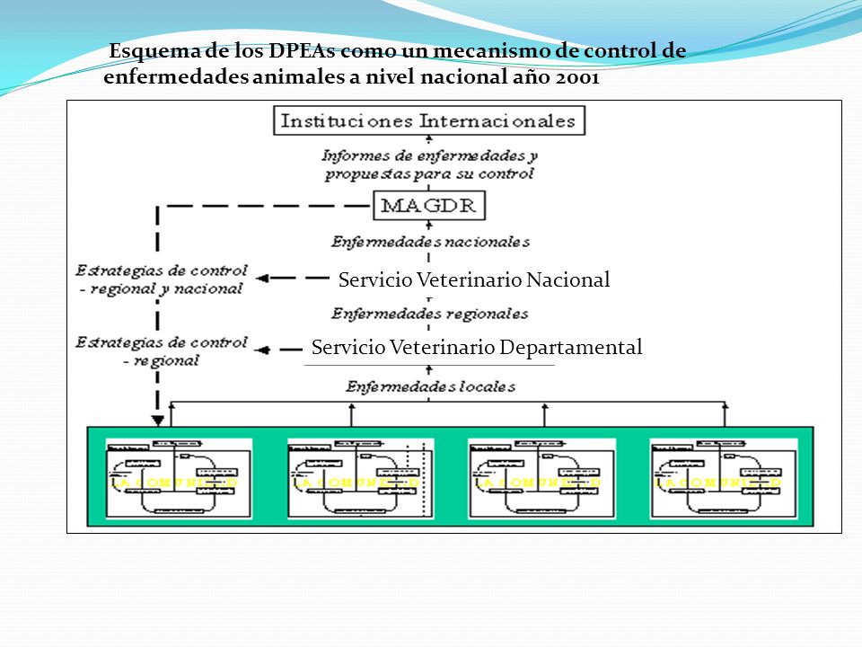 Esquema de los DPEAs como un mecanismo de control de enfermedades animales a nivel nacional año 2001