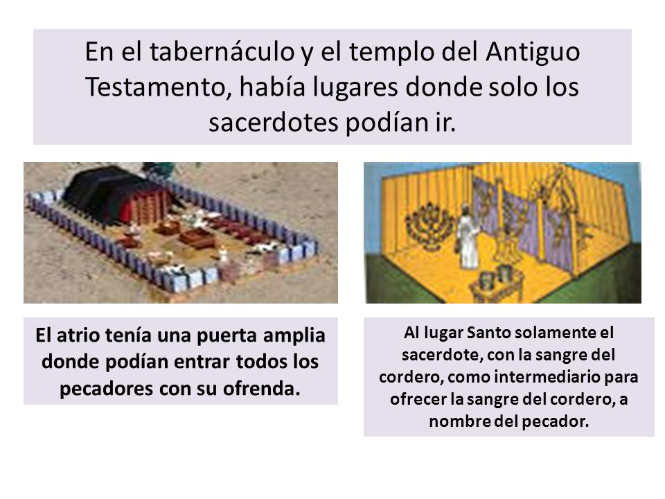En el tabernáculo y el templo del Antiguo Testamento, había lugares donde solo los sacerdotes podían ir.