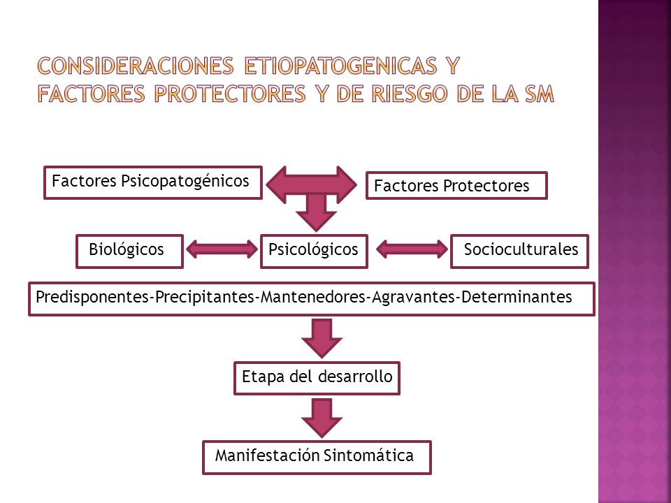 CONSIDERACIONES ETIOPATOGENICAS Y FACTORES PROTECTORES Y DE RIESGO DE LA sm