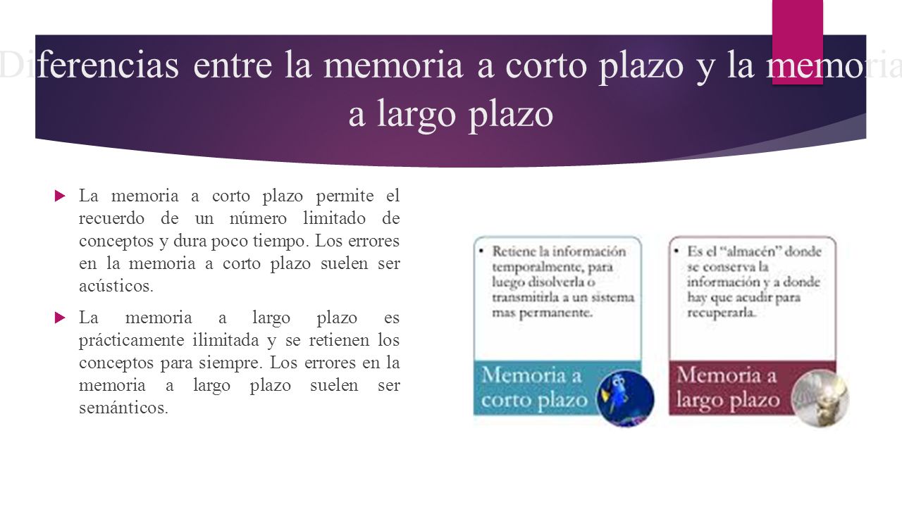 Diferencias entre la memoria a corto plazo y la memoria a largo plazo