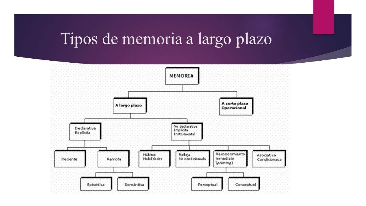 Tipos de memoria a largo plazo