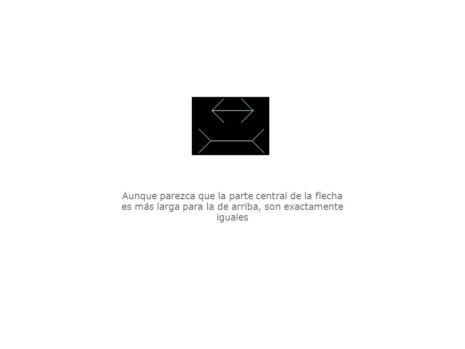 Aunque parezca que la parte central de la flecha es más larga para la de arriba, son exactamente iguales.