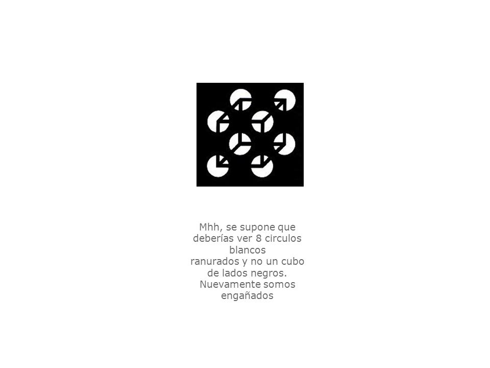 Mhh, se supone que deberías ver 8 circulos blancos ranurados y no un cubo de lados negros.