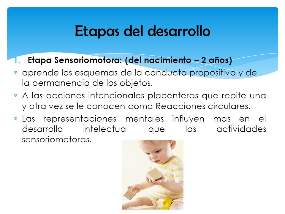 Etapas del desarrollo Etapa Sensoriomotora: (del nacimiento – 2 años)