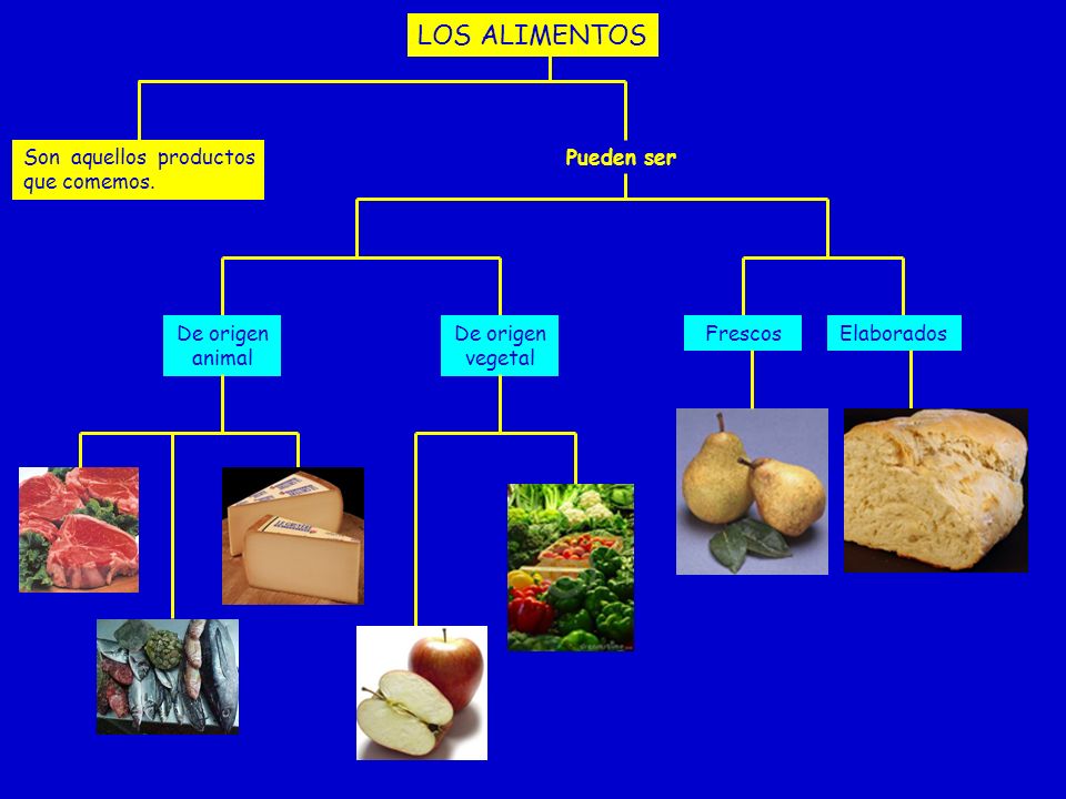 LOS ALIMENTOS Son aquellos productos que comemos. Pueden ser