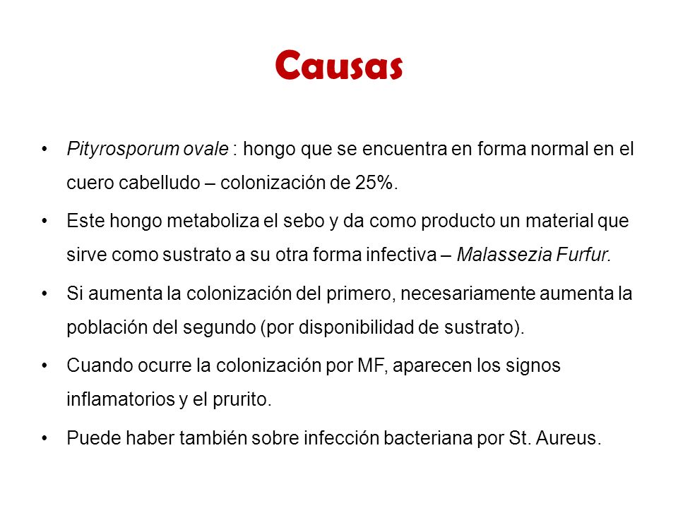Causas Pityrosporum ovale : hongo que se encuentra en forma normal en el cuero cabelludo – colonización de 25%.