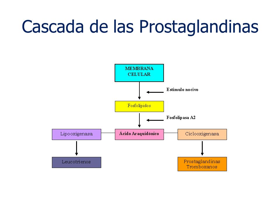 Cascada de las Prostaglandinas