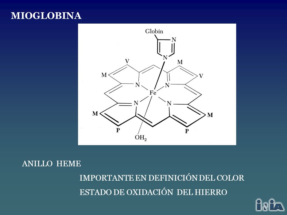 MIOGLOBINA ANILLO HEME IMPORTANTE EN DEFINICIÓN DEL COLOR
