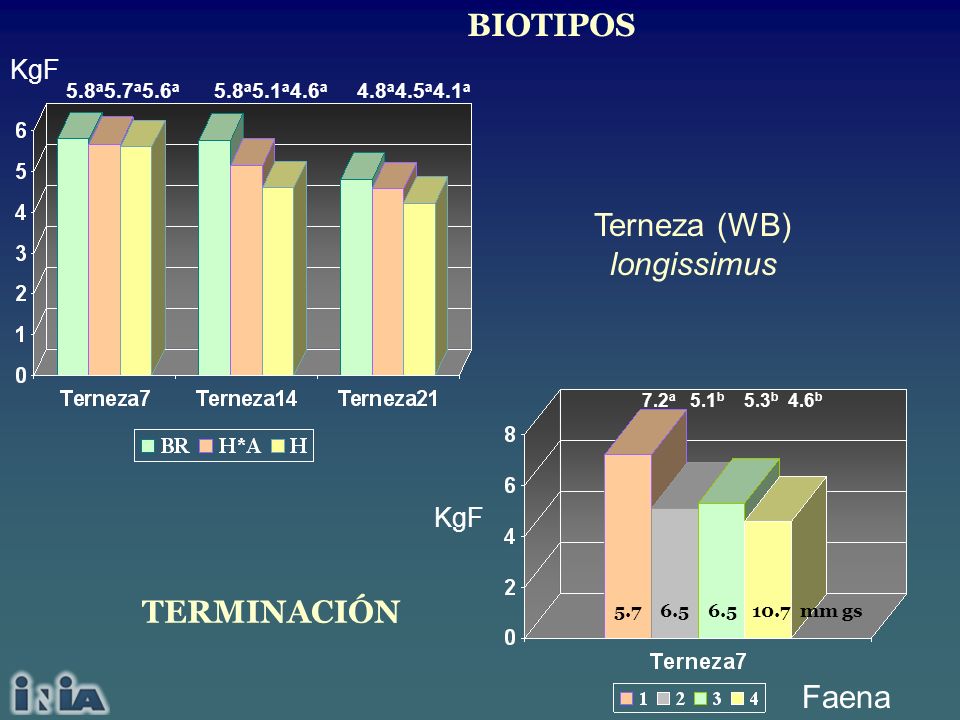 BIOTIPOS Terneza (WB) longissimus TERMINACIÓN Faena KgF KgF