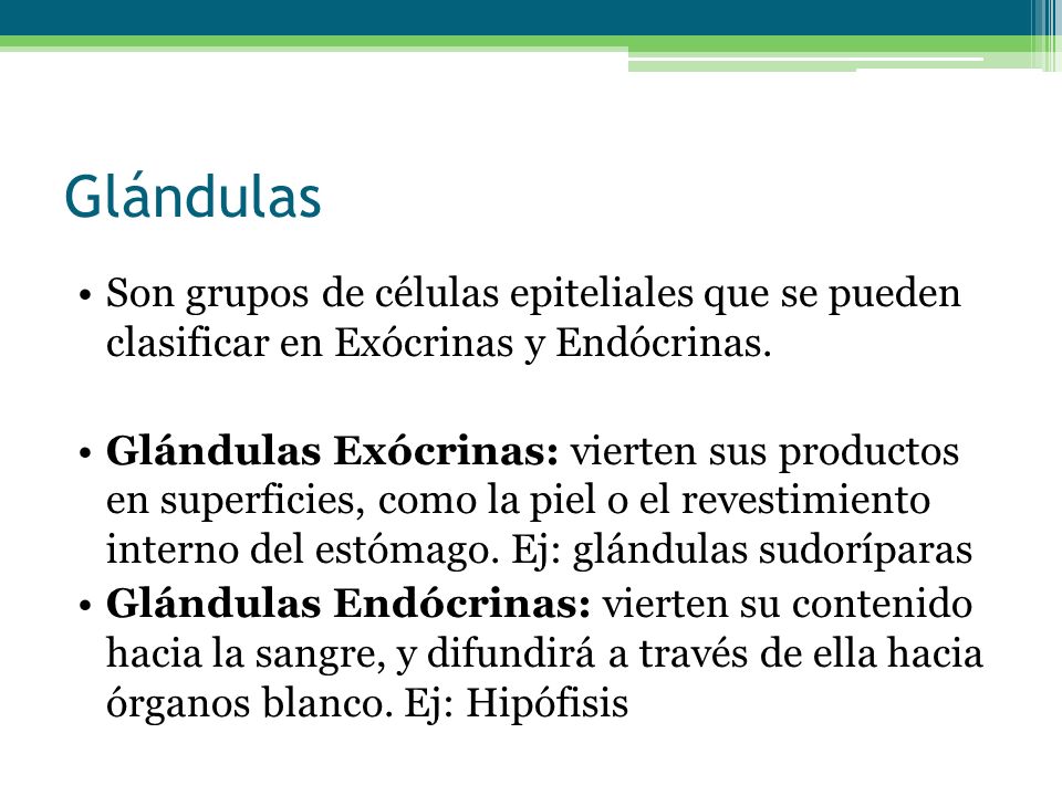 Glándulas Son grupos de células epiteliales que se pueden clasificar en Exócrinas y Endócrinas.