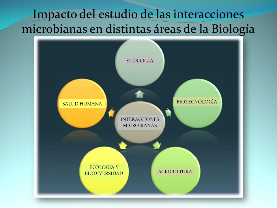 Impacto del estudio de las interacciones microbianas en distintas áreas de la Biología
