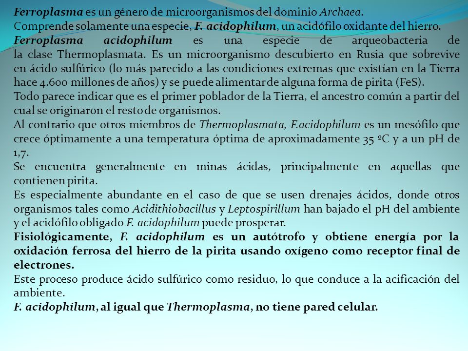 Ferroplasma es un género de microorganismos del dominio Archaea.