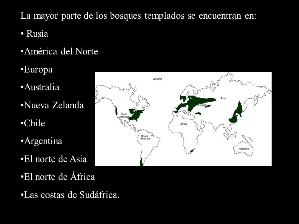 La mayor parte de los bosques templados se encuentran en: