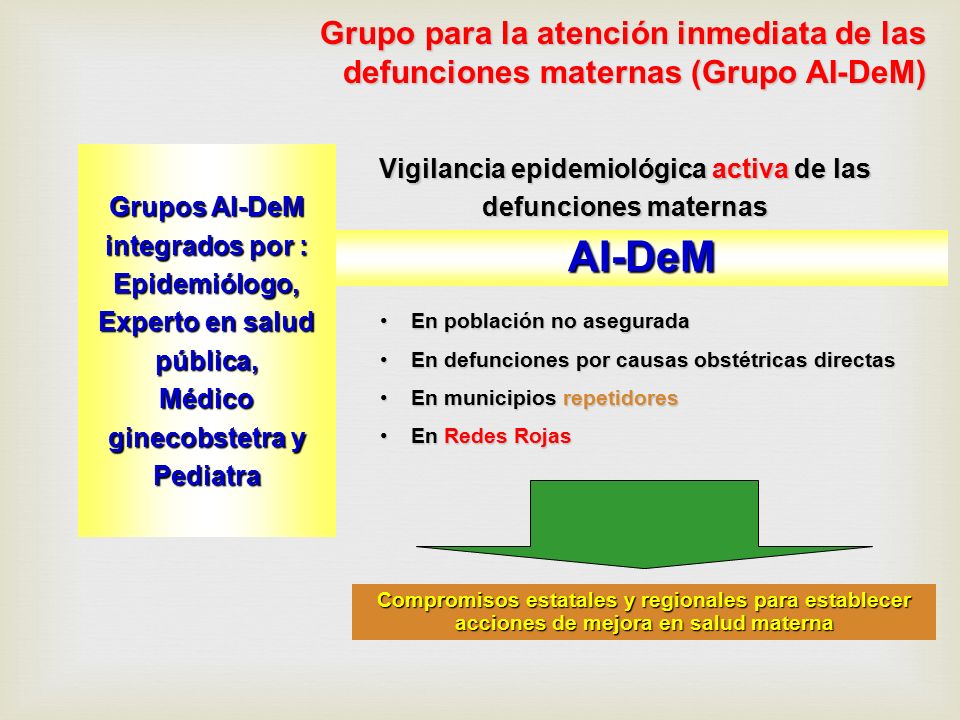 Grupo para la atención inmediata de las defunciones maternas (Grupo AI-DeM)