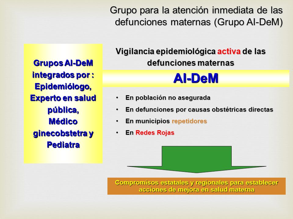 Grupo para la atención inmediata de las defunciones maternas (Grupo AI-DeM)