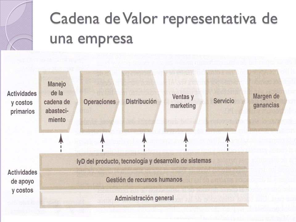 Cadena de Valor representativa de una empresa