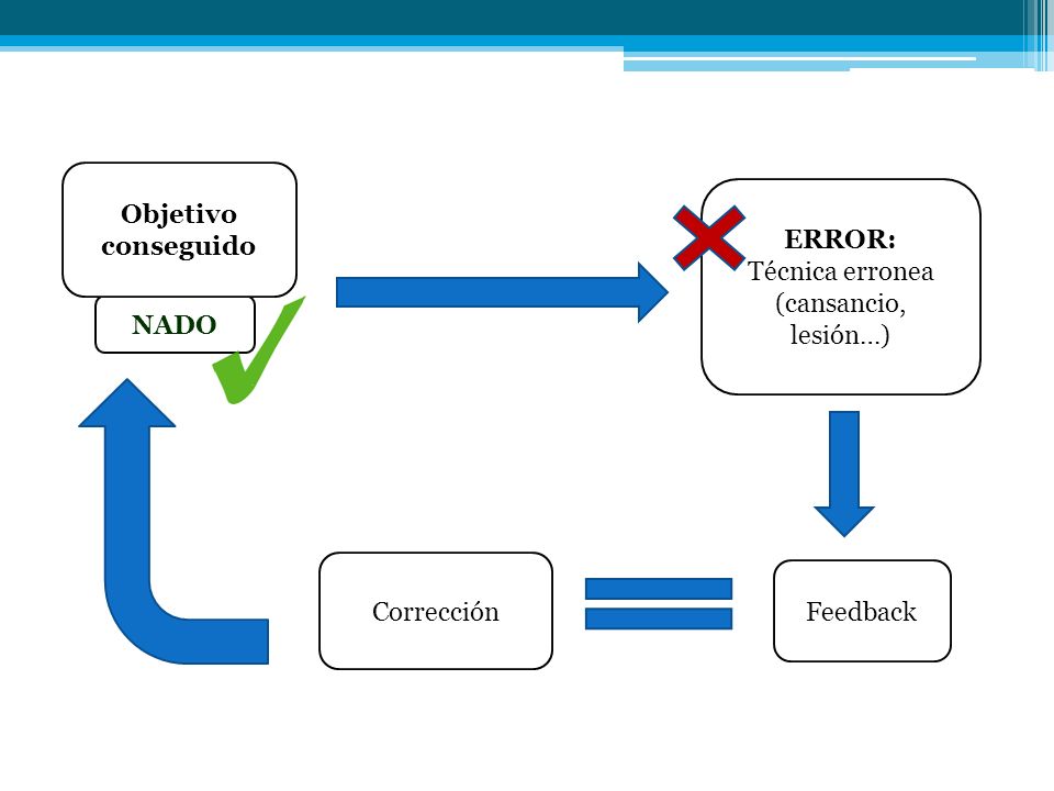 Objetivo conseguido ERROR: Técnica erronea (cansancio, lesión…) NADO Corrección Feedback