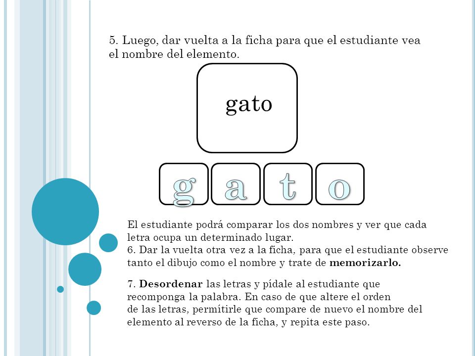 5. Luego, dar vuelta a la ficha para que el estudiante vea el nombre del elemento.
