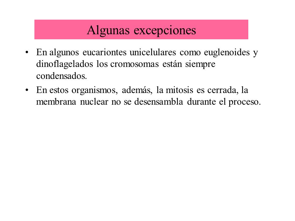Algunas excepciones En algunos eucariontes unicelulares como euglenoides y dinoflagelados los cromosomas están siempre condensados.
