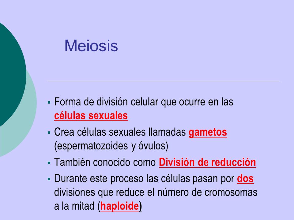 Meiosis Forma de división celular que ocurre en las células sexuales
