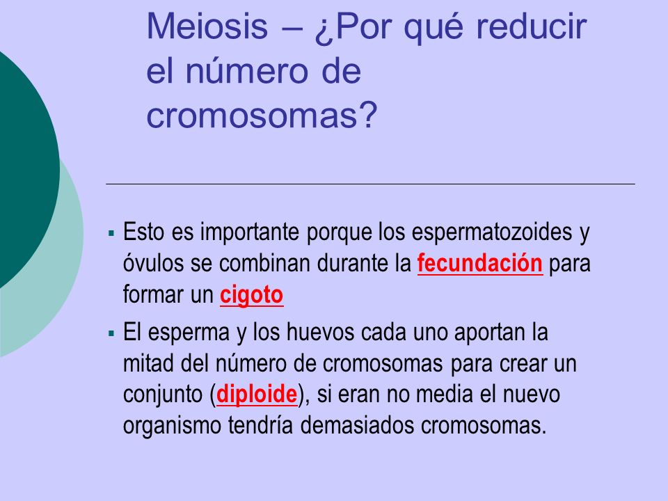 Meiosis – ¿Por qué reducir el número de cromosomas