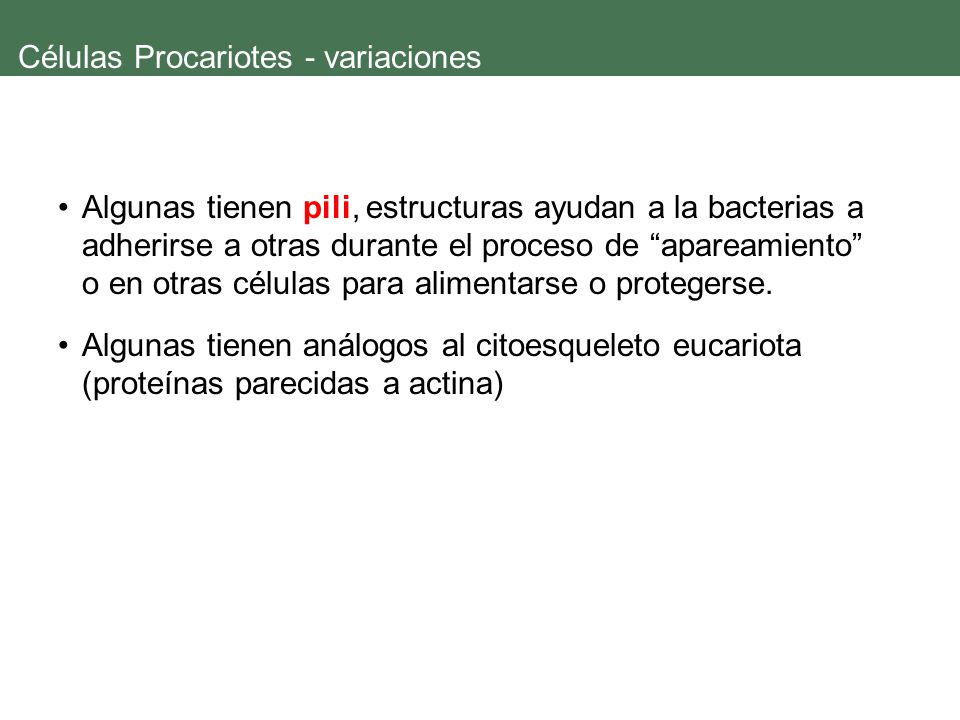 Células Procariotes - variaciones