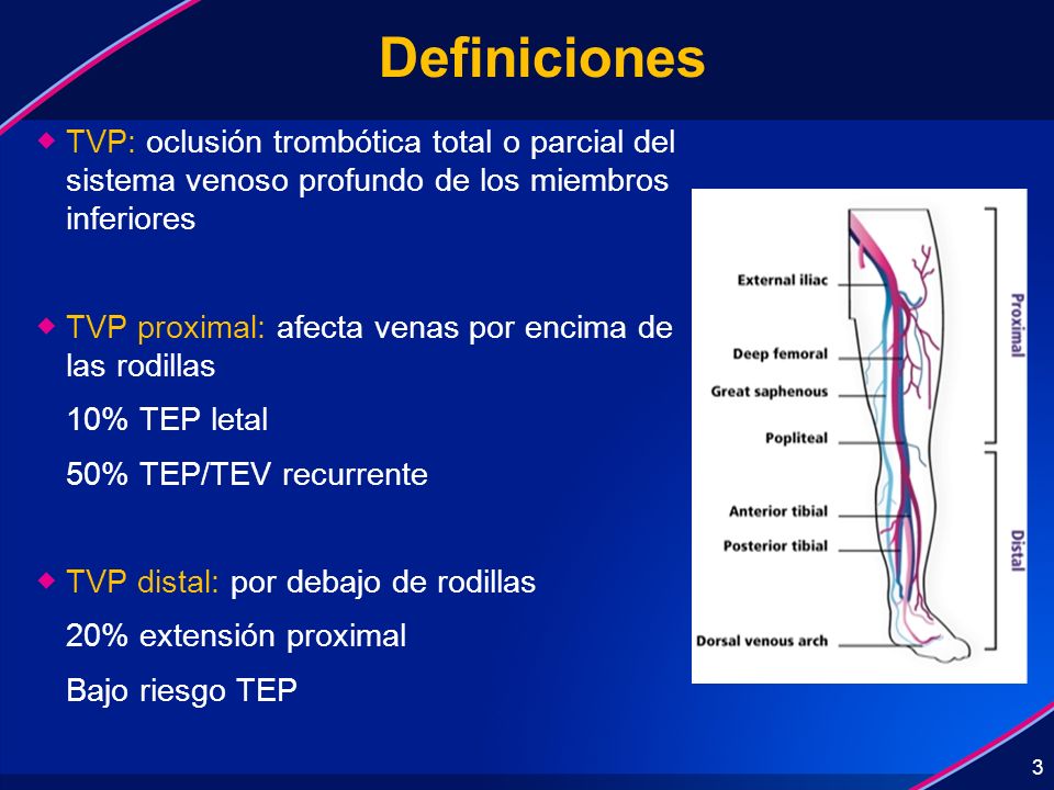 Definiciones TVP: oclusión trombótica total o parcial del sistema venoso profundo de los miembros inferiores.