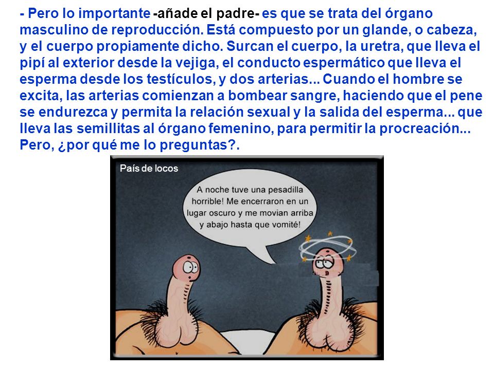 - Pero lo importante -añade el padre- es que se trata del órgano masculino de reproducción. Está compuesto por un glande, o cabeza, y el cuerpo propiamente dicho. Surcan el cuerpo, la uretra, que lleva el pipí al exterior desde la vejiga, el conducto espermático que lleva el esperma desde los testículos, y dos arterias... Cuando el hombre se excita, las arterias comienzan a bombear sangre, haciendo que el pene se endurezca y permita la relación sexual y la salida del esperma... que lleva las semillitas al órgano femenino, para permitir la procreación... Pero, ¿por qué me lo preguntas .