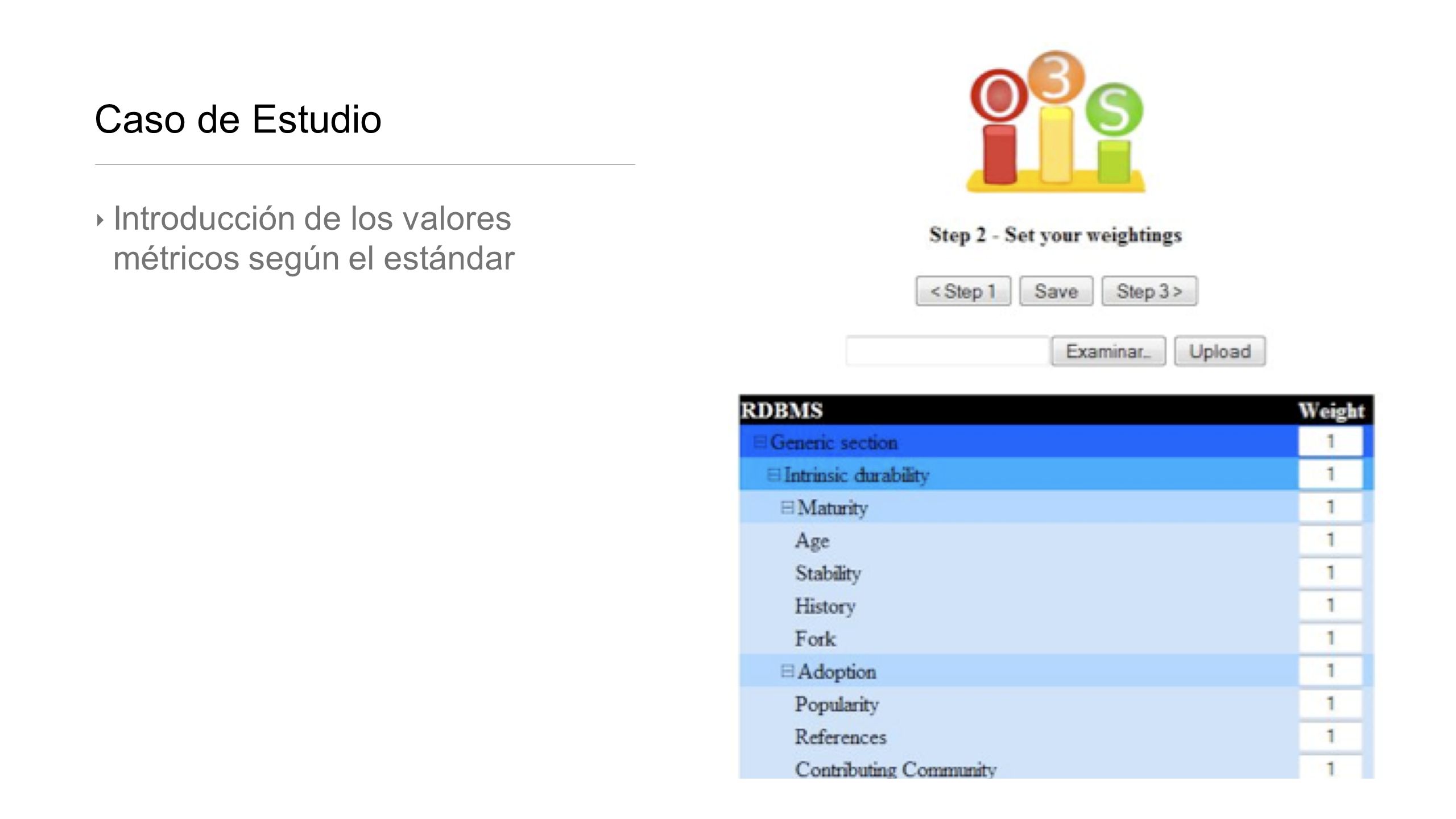 Caso de Estudio Introducción de los valores métricos según el estándar