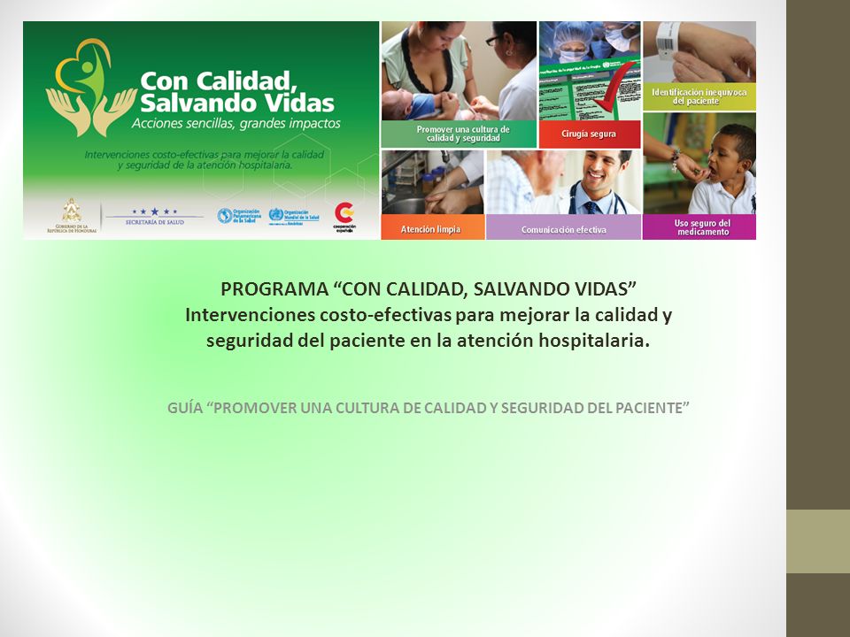 GUÍA PROMOVER UNA CULTURA DE CALIDAD Y SEGURIDAD DEL PACIENTE