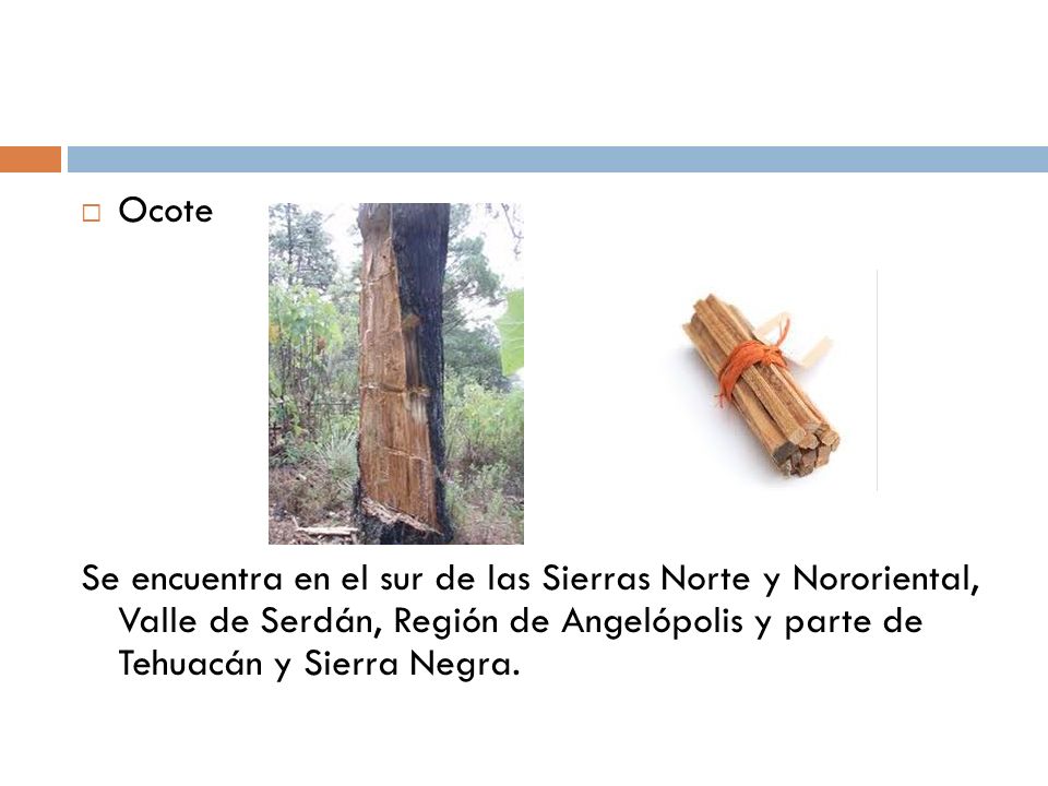 Ocote Se encuentra en el sur de las Sierras Norte y Nororiental, Valle de Serdán, Región de Angelópolis y parte de Tehuacán y Sierra Negra.