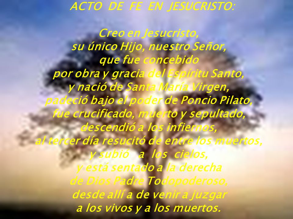 ACTO DE FE EN JESUCRISTO: Creo en Jesucristo, su único Hijo, nuestro Señor, que fue concebido por obra y gracia del Espíritu Santo, y nació de Santa María Virgen, padeció bajo el poder de Poncio Pilato, fue crucificado, muerto y sepultado, descendió a los infiernos, al tercer día resucitó de entre los muertos, y subió a los cielos, y está sentado a la derecha de Dios Padre Todopoderoso, desde allí a de venir a juzgar a los vivos y a los muertos.