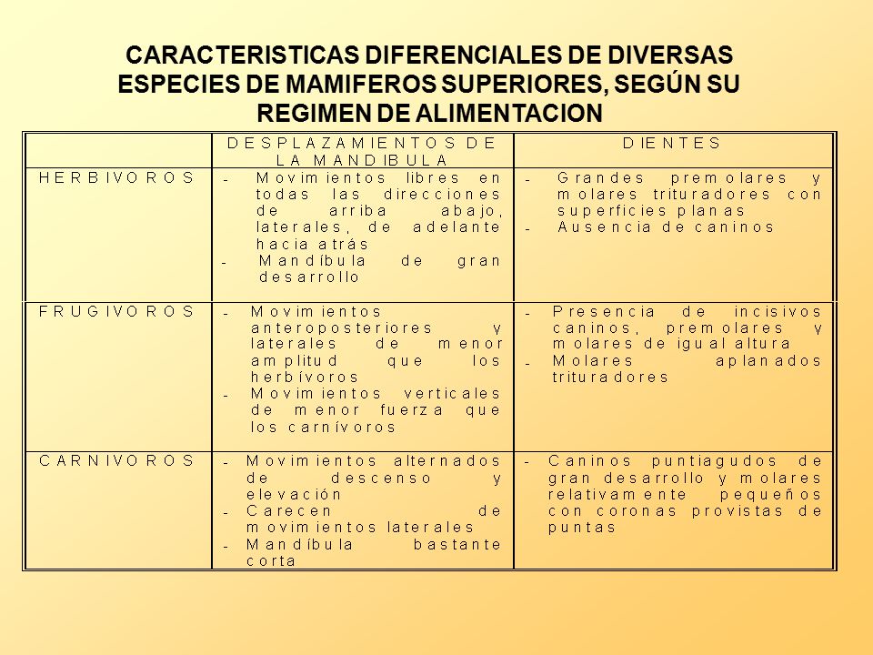 CARACTERISTICAS DIFERENCIALES DE DIVERSAS ESPECIES DE MAMIFEROS SUPERIORES, SEGÚN SU REGIMEN DE ALIMENTACION