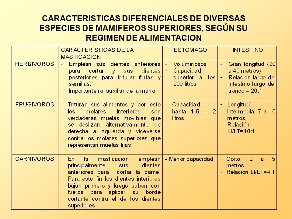 CARACTERISTICAS DIFERENCIALES DE DIVERSAS ESPECIES DE MAMIFEROS SUPERIORES, SEGÚN SU REGIMEN DE ALIMENTACION