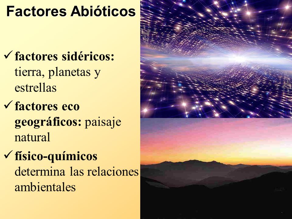 Factores Abióticos factores sidéricos: tierra, planetas y estrellas