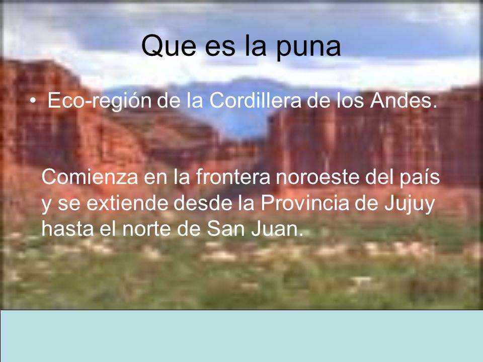 Que es la puna Eco-región de la Cordillera de los Andes.