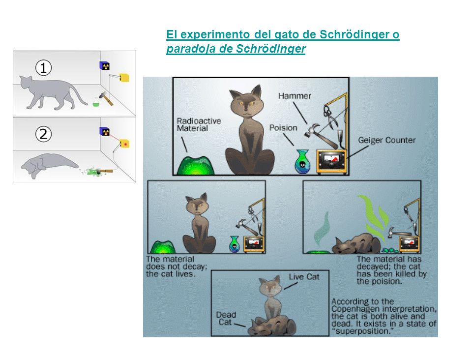El experimento del gato de Schrödinger o paradoja de Schrödinger
