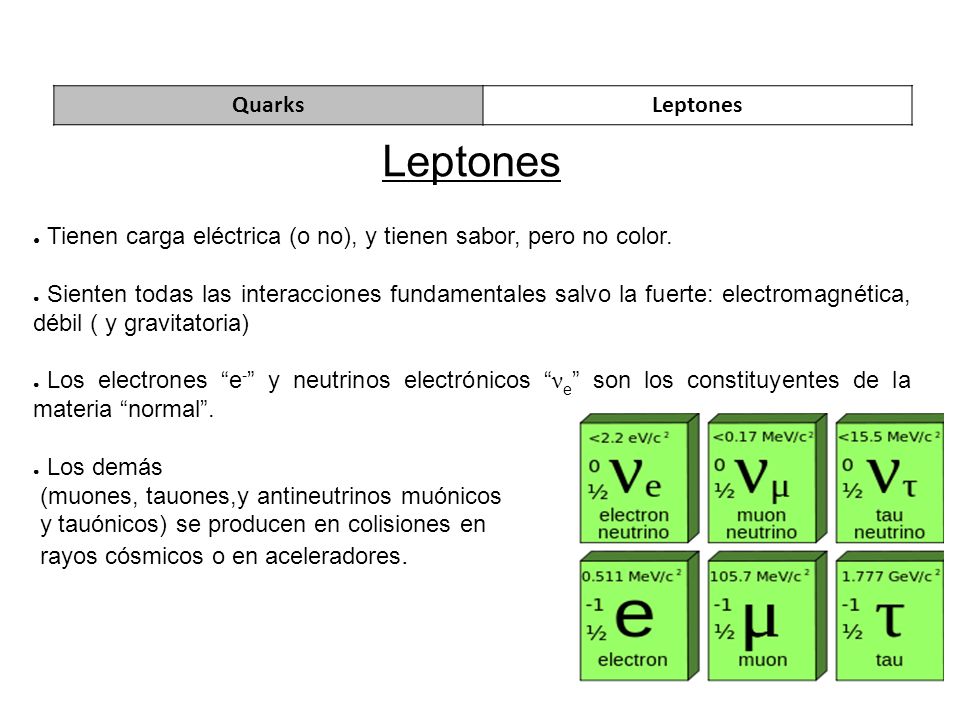 Leptones Tienen carga eléctrica (o no), y tienen sabor, pero no color.