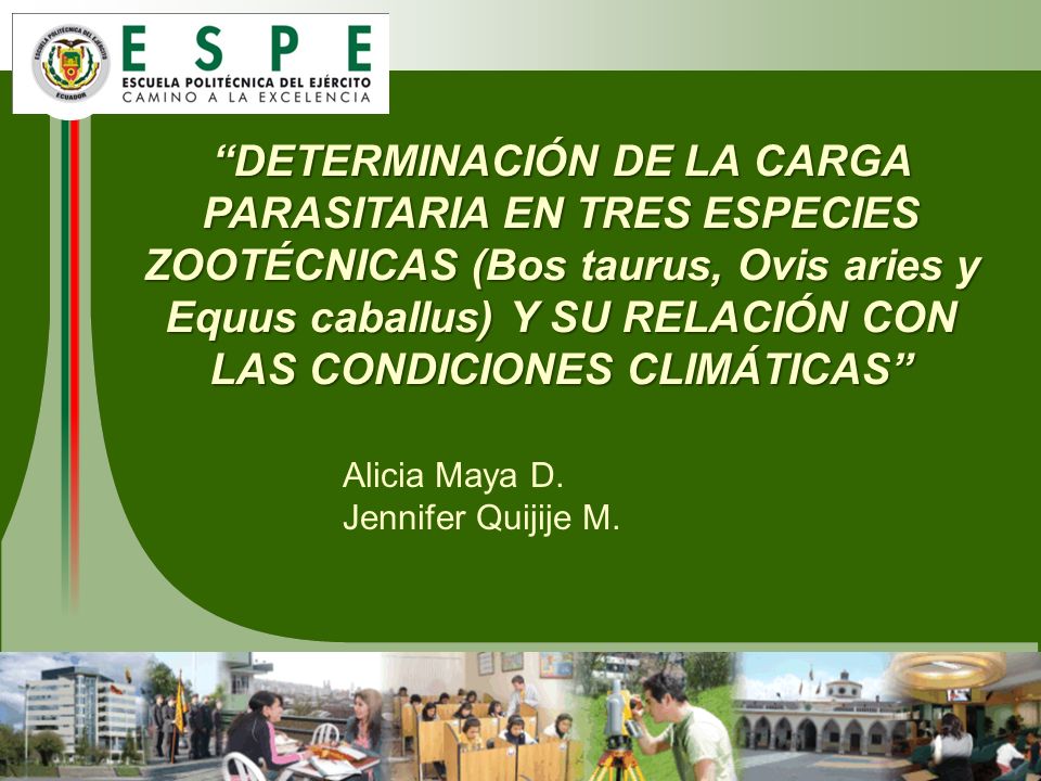 DETERMINACIÓN DE LA CARGA PARASITARIA EN TRES ESPECIES ZOOTÉCNICAS (Bos taurus, Ovis aries y Equus caballus) Y SU RELACIÓN CON LAS CONDICIONES CLIMÁTICAS