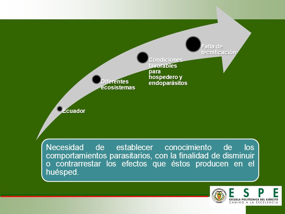 Ecuador Diferentes ecosistemas. Condiciones favorables para hospedero y endoparásitos. Falta de tecnificación.
