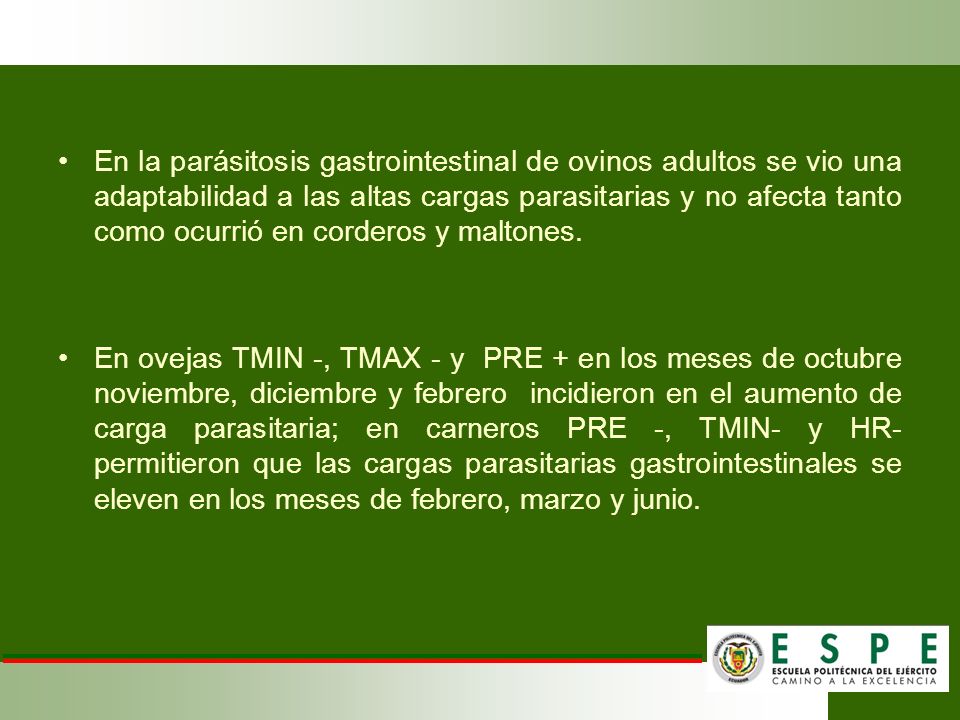 En la parásitosis gastrointestinal de ovinos adultos se vio una adaptabilidad a las altas cargas parasitarias y no afecta tanto como ocurrió en corderos y maltones.